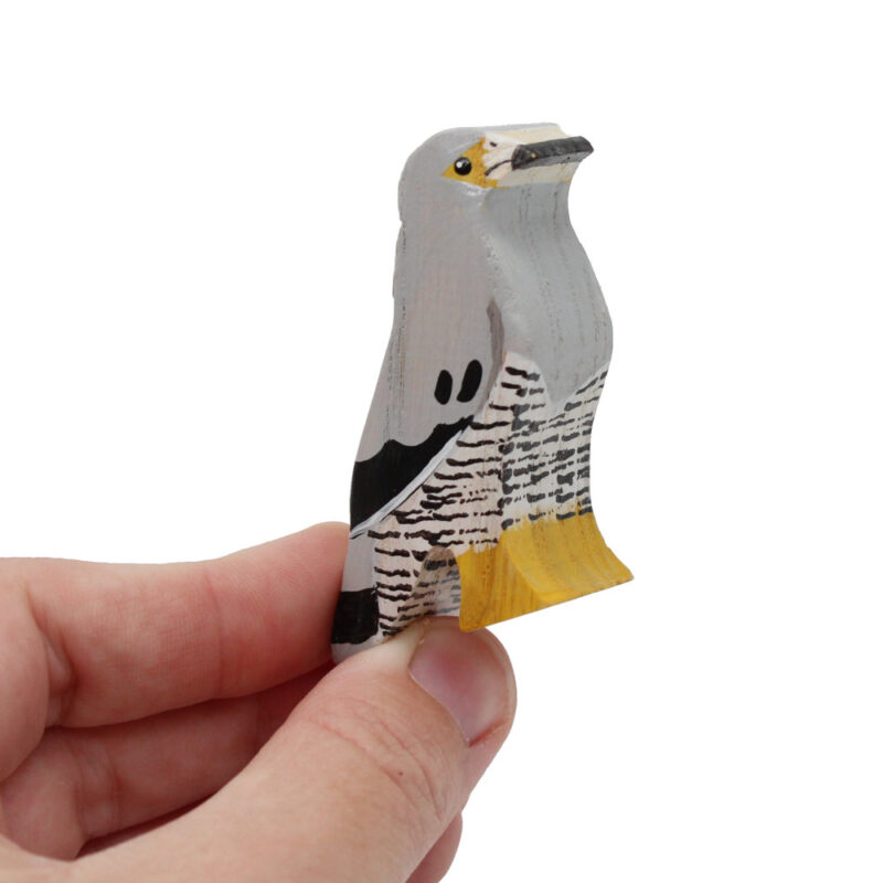 African Harrier Hawk In Hand