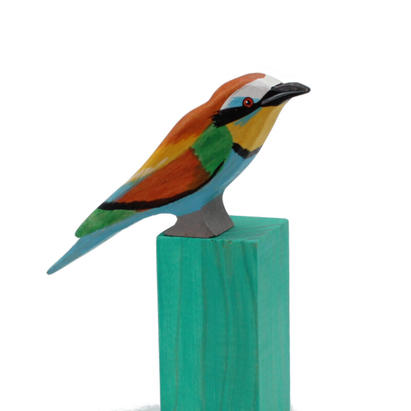 european bee-eater toddler bird