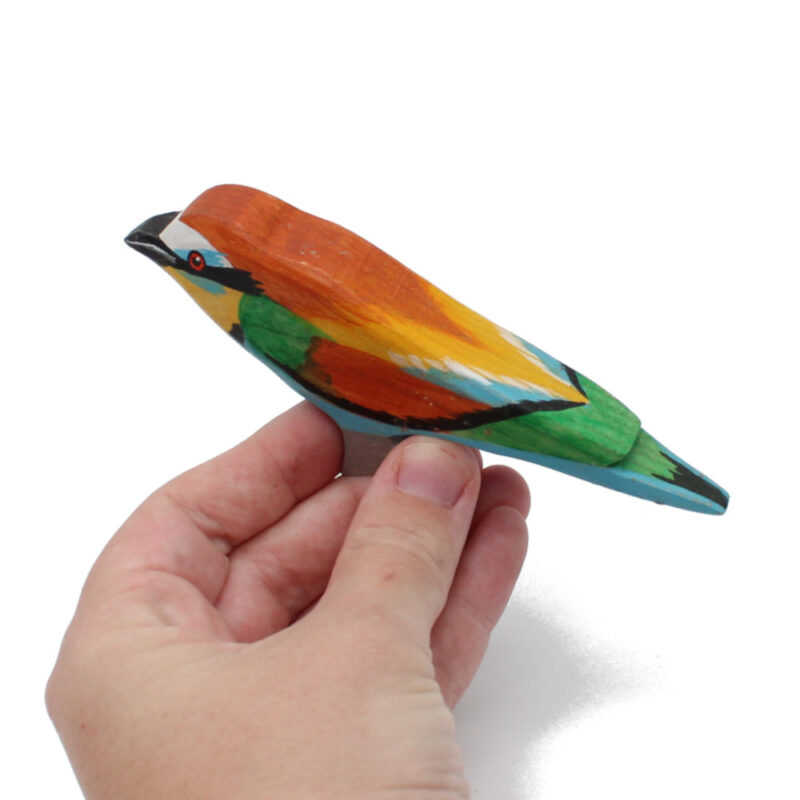 european bee-eater toddler bird