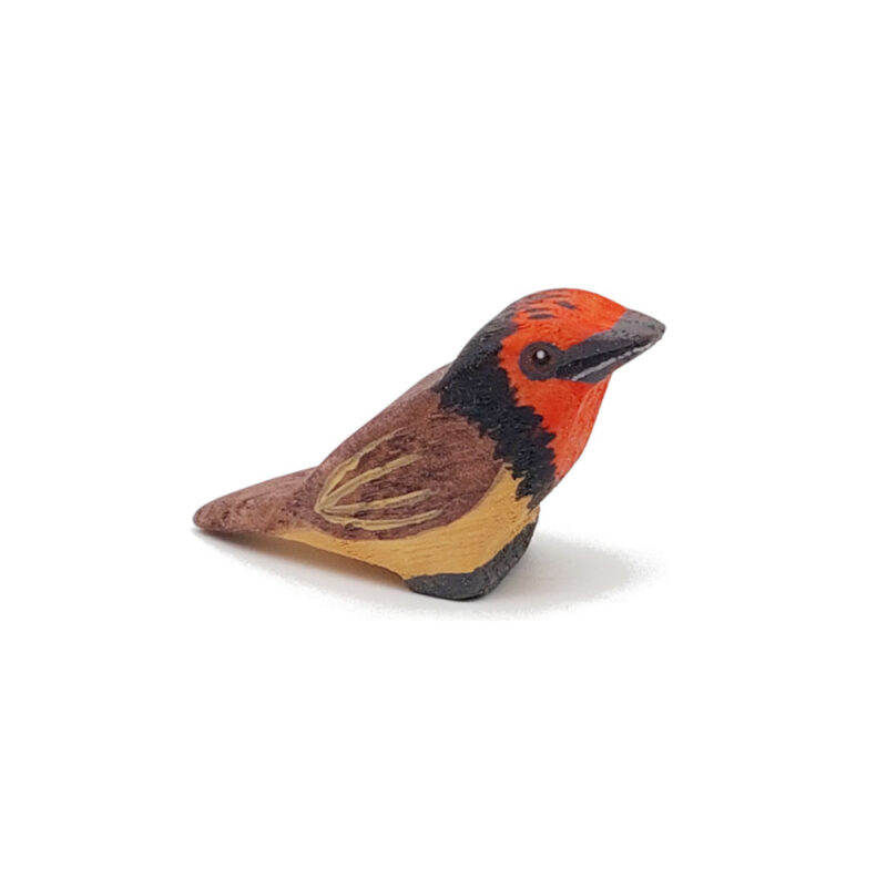 Black collared barbet wooden bird - by Good Shepherd Toys