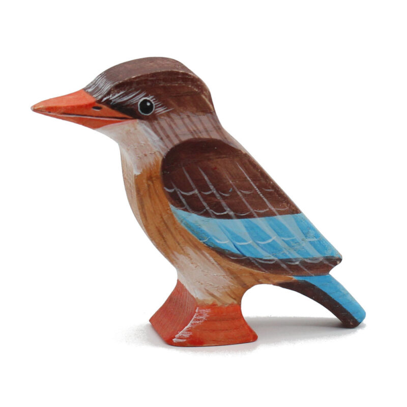 Brown-hooded-Kingfisher-Toddler-Bird