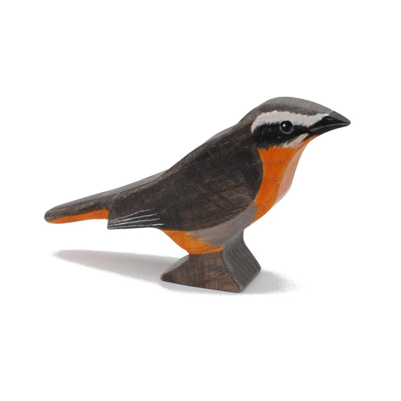 Cape Robin Toddler Bird