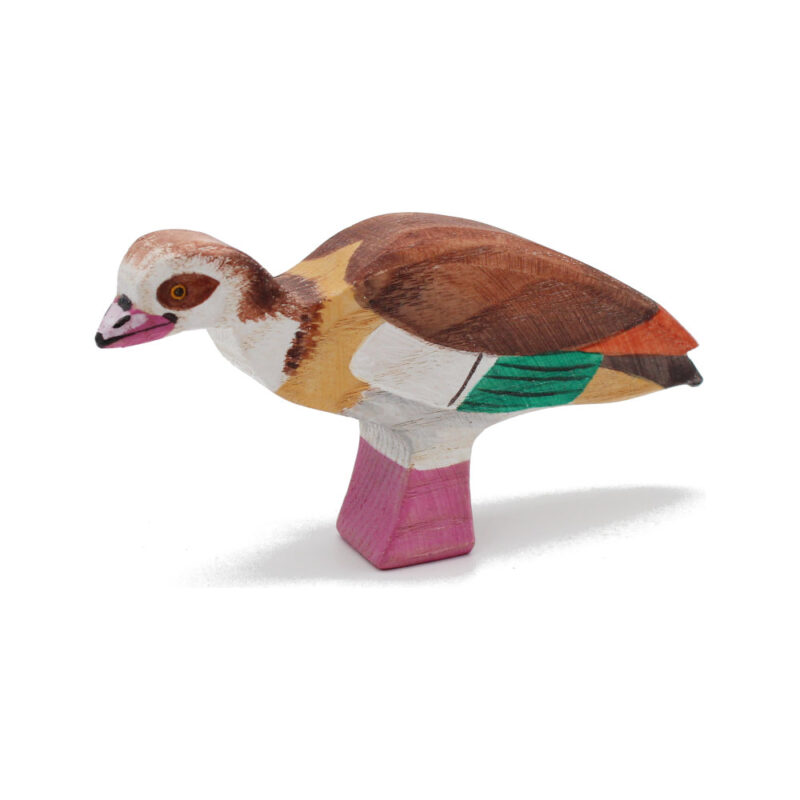 Egyptian Goose Toddler Bird