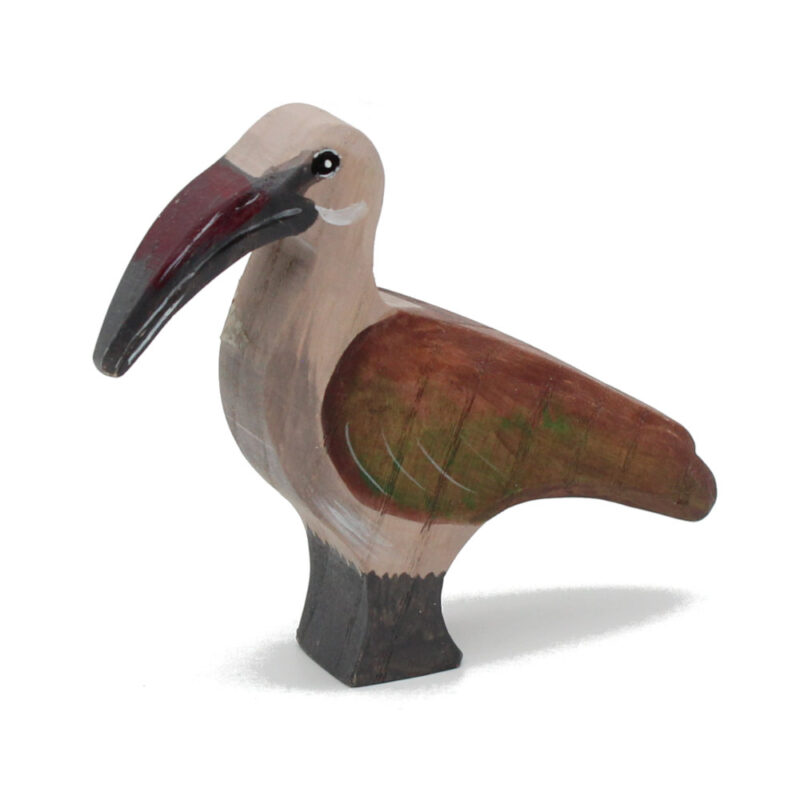 Hadeda Toddler Bird