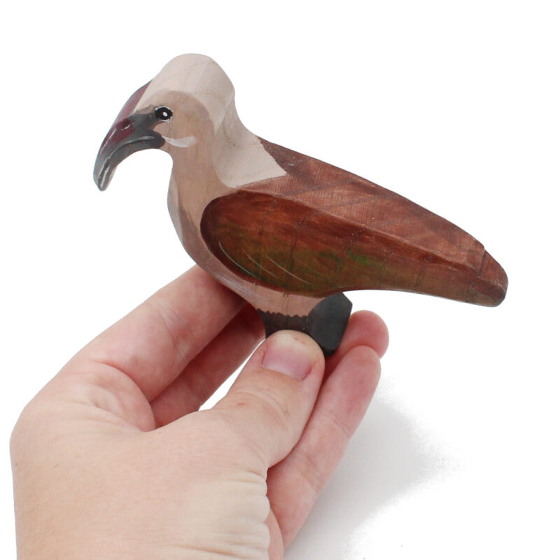 Hadeda Toddler Bird