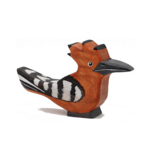 Hoopoe Toddler Bird