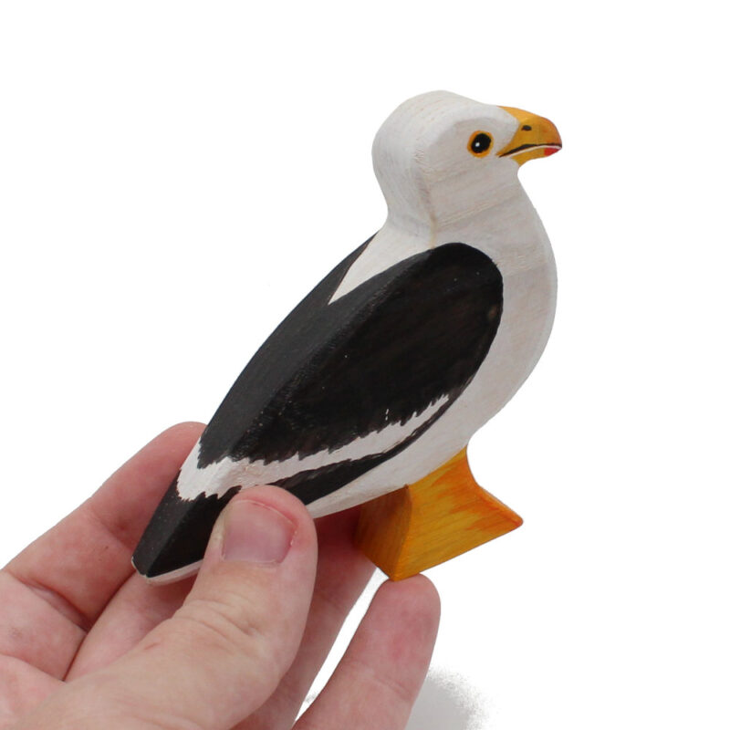 Seagull Toddler Bird