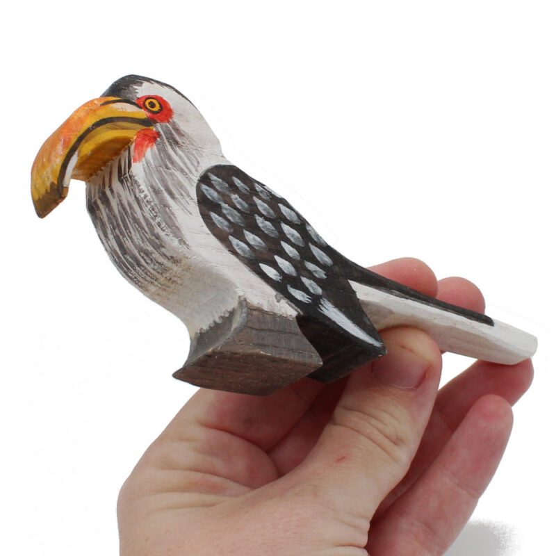 Southern yellow-billed hornbill