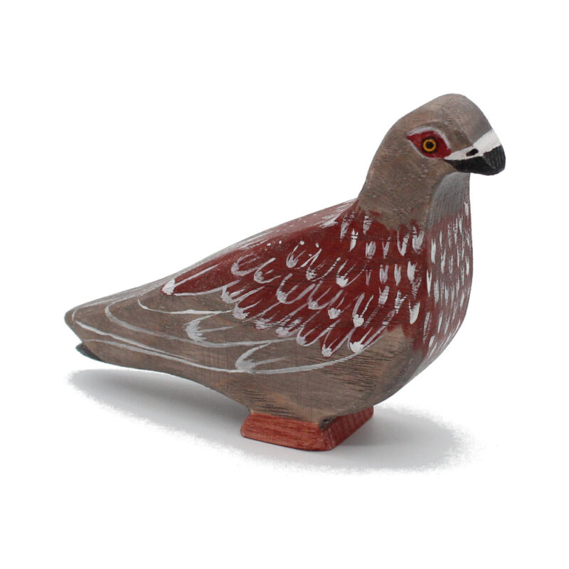 Speckled Pigeon