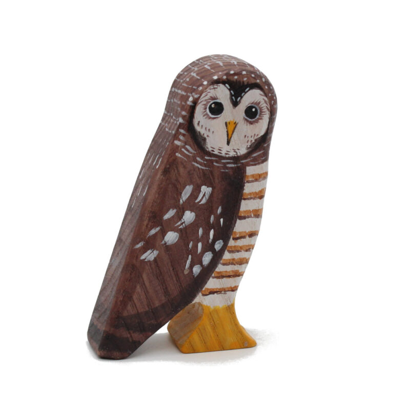 Wood Owl Toddler Bird