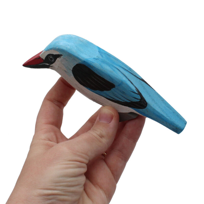 Woodland Kingfisher Toddler Bird